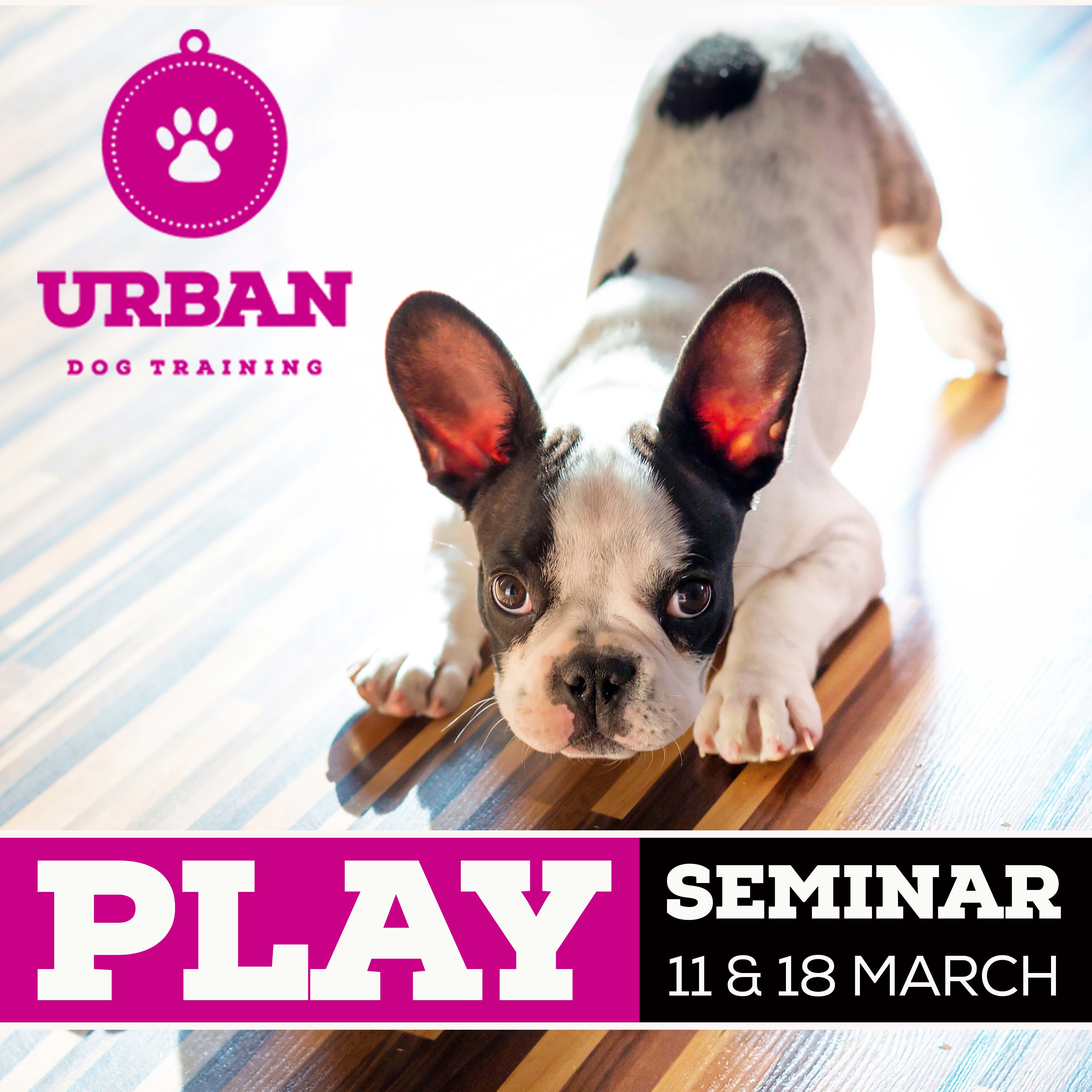 Urban Dog Training Seminars